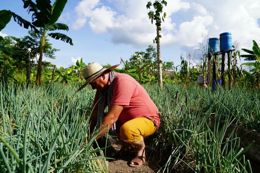 Edgar, a FARC ex-combatant , with the onion crops he is growing thanks to WFP support 