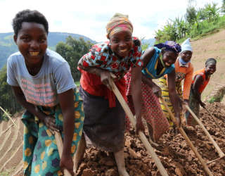 WFP Rwanda's resilient livelihoods programme in Rutsiro, Western Rwanda. Photo: WFP/Emily Fredenberg