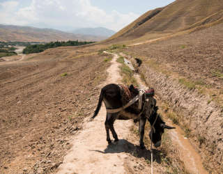 A landscape shows the "Unity Canal" in Kalafgan district, Takhar province in Afghanistan. Photo: WFP/Arete/Andrew Quilty